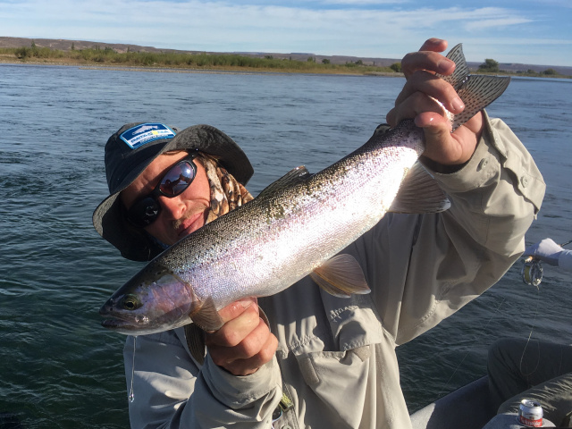 Rio Limay Rainbow